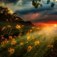 Stormy Sunset Over A Field