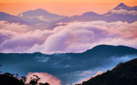 Ba Na Hills, Vietnam - clouds, fog, morning, sunrise, trees