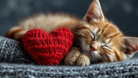 :) - pisici, cute, day, card, cat, heart, sleep, kitten, paw, valentine, red