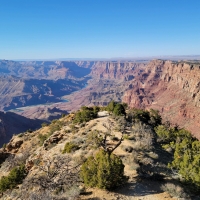 The Grand Canyon with the Colorado River in the distance