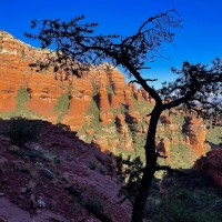 Fay Canyon, Coconino National Forest, Sedona, Arizona