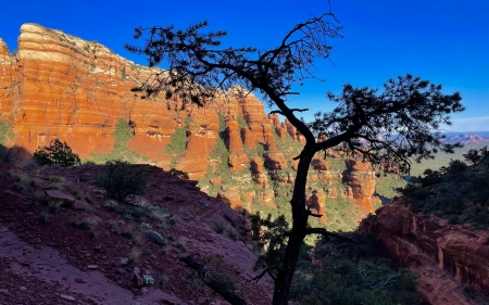 Fay Canyon, Coconino National Forest, Sedona, Arizona - landscape, mountains, rocks, trees, usa