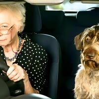 Old Lady & Dog