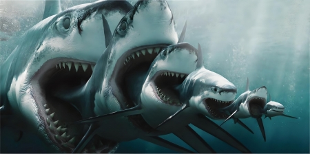 Shark - jaws, marine life, predator, shark