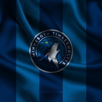 Minnesota Timberwolves