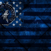 Minnesota Timberwolves