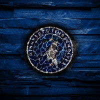 Minnesota Timberwolves
