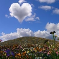 Heart-Shaped Cloud