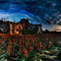 Forsaken House