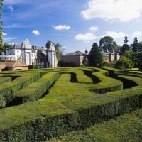 The Famous Hampton Court Palace Maze