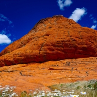 Spring in St George Utah