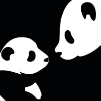 Panda bears