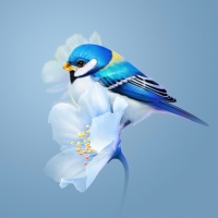 Bird and flowers