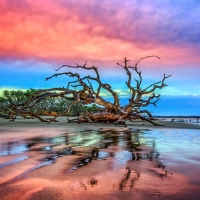 Tidal Pools at Dawn, Jekyll Island, Georgia