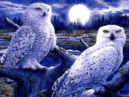 OWL MOON - moon, art, owl