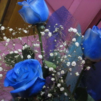 Blue Rose