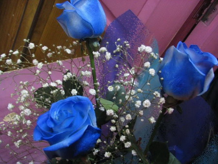 Blue Rose - fantasy, rose, blue, flower