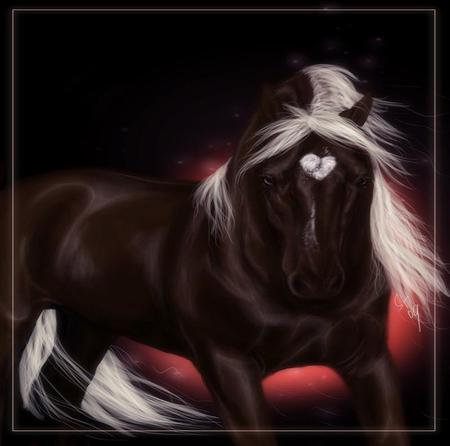 Dark Valentine - horse, valentine