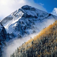 Mountain Forest