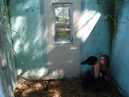 Gothic Wings - wings, pretty, building, window, gothic, girl, angel, green