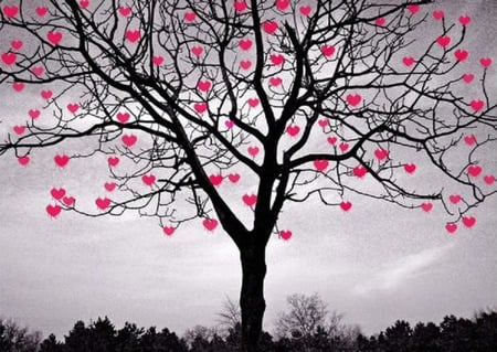 Tree of Love - love, tree, heart