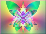 FRACTAL BUTTERFLY. jpg