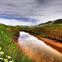 River Bank