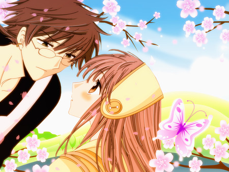 Spring Love - fojimoto kiyokazu, love, sexy, girl, hanato kobato, spring, clamp, sakura blossoms, boy, anime, blush, cute