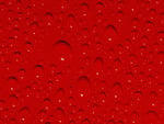 red  water drops background . jpg