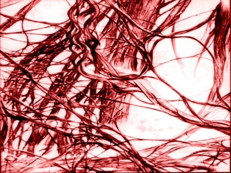 asbestos fibres red . jpg  - abstract, fibers, red, abestos