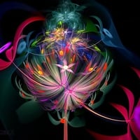 Beautiful digital flowers