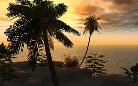 Tropical Setting - skies, sunset, nature, tropical, beach, palm trees, sunrise