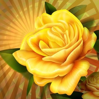 Yellow-rose