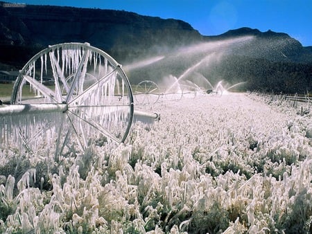 Field of Ice - ice, blue, fields, photography, snow, mountains