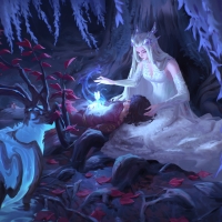 The secret of the forest
