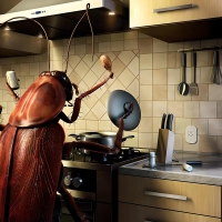 Cockroach Cook