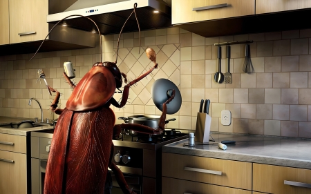 Cockroach Cook - cockroach cook, dishes, fantasy, insect, kitchen