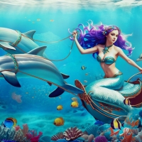 Mermaid With Dolphins