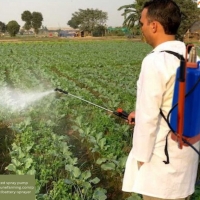 Efficient Battery Operated Spray Pump : Perfect for All Crops