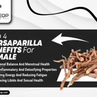 Top 4 Sarsaparilla Benefits For Female