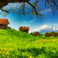 Mountain Homes in Bavarian Alps