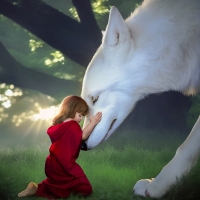 Little red and the wolf