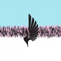 Minnesota United FC
