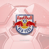 New York Red Bulls