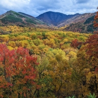 Smoky Mountains, Tennessee