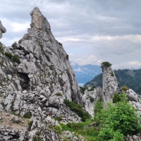 Near the peak of Hahnstein - Admont, Styria, Austria