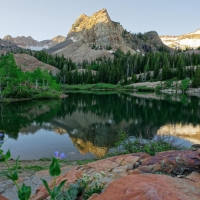 Golden Hour in the Wasatch Mountains, Utah