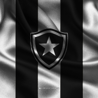 Botafogo de Futebol e Regatas