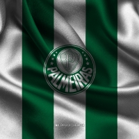 Sociedade Esportiva Palmeiras