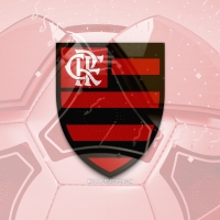 Clube de Regatas do Flamengo